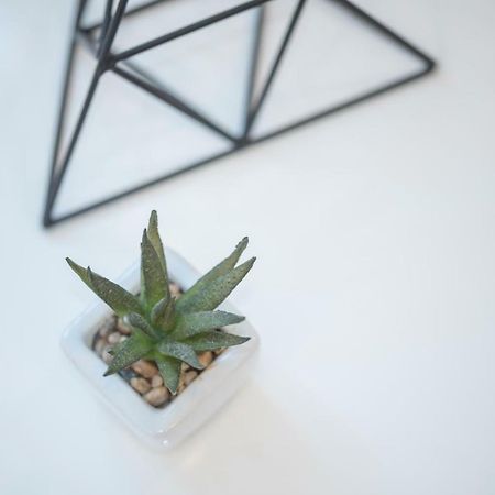 "D&M" Studio Apartments 자그레브 외부 사진